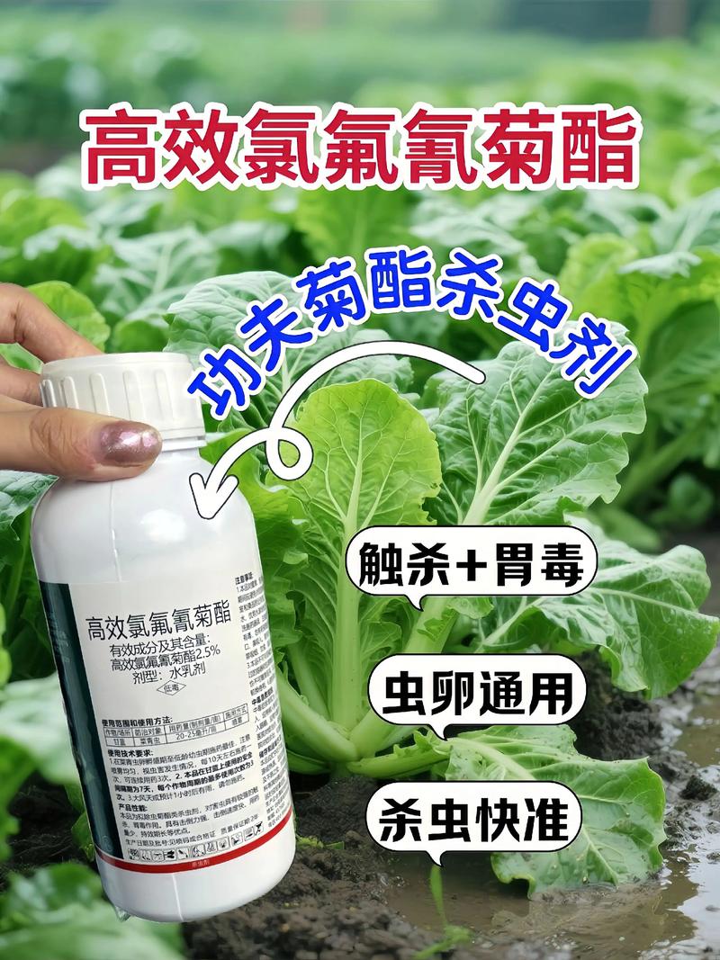 佛山代生中心:农药对供卵代生妈妈的危害